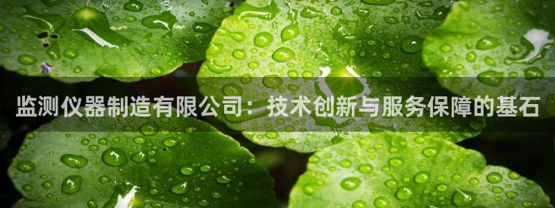 门徒娱乐品牌产品：监测仪器制造有限公司：技术创新与服务保障的