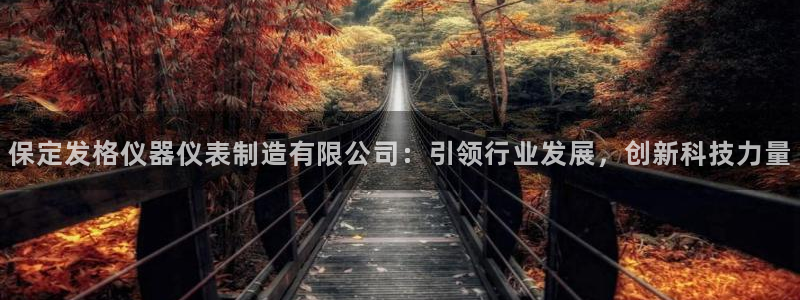 门徒娱乐系列有哪些：保定发格仪器仪表制造有限公司：引领行业发