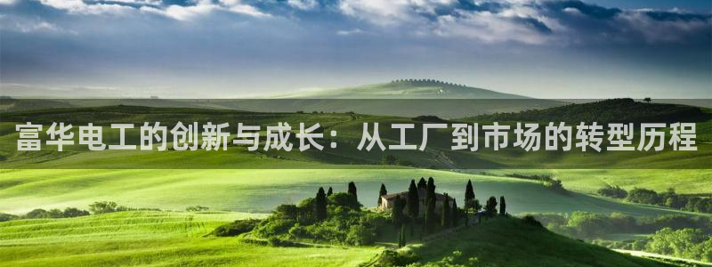门徒娱乐被黑：富华电工的创新与成长：从工厂到市场的转型历程