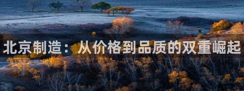 门徒彩票娱乐官方网站：北京制造：从价格到品质的双重崛起