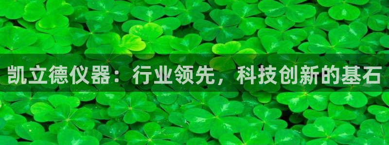 门徒娱乐登录地址：凯立德仪器：行业领先，科技创新的基石