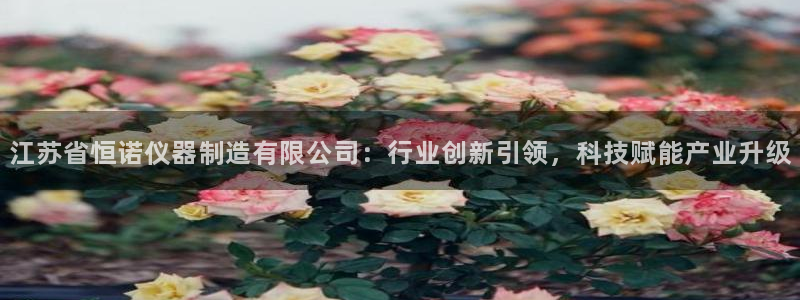 门徒娱乐开奖平台直播：江苏省恒诺仪器制造有限公司：行业创新引