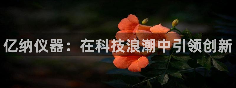 门徒娱乐团队介绍：亿纳仪器：在科技浪潮中引领创新