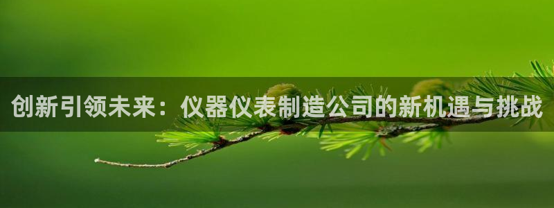 门徒娱乐注册下判官333OO：创新引领未来：仪器仪表制造公司