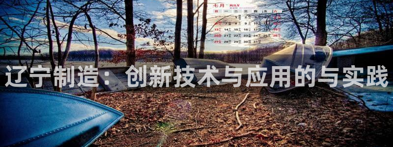 门徒彩票娱乐官方网站：辽宁制造：创新技术与应用的与实践