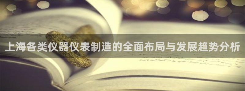门徒娱乐怎么下载软件：上海各类仪器仪表制造的全面布局与发展趋