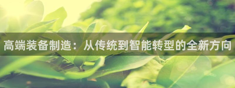 娱乐门徒免费下载手机版：高端装备制造：从传统到智能转型的全新
