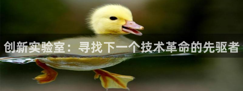 门徒娱乐上5指尖：创新实验室：寻找下一个技术革命的先驱者