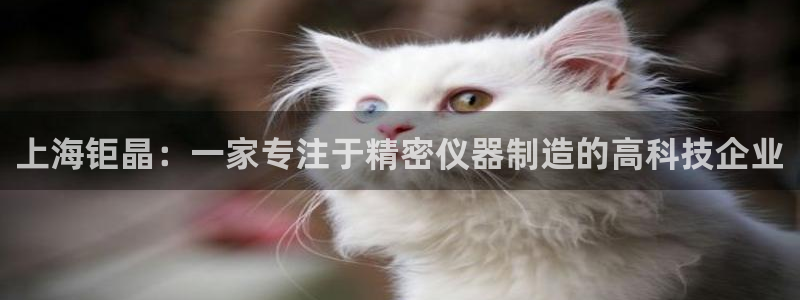 门徒娱乐登录测速：上海钜晶：一家专注于精密仪器制造的高科技企