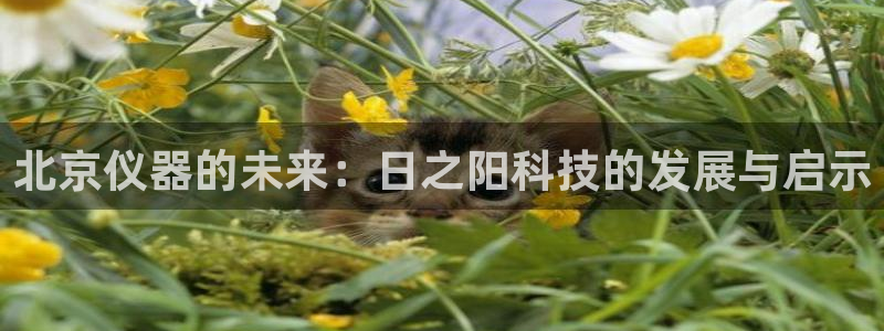 门徒娱乐网页版下载安卓：北京仪器的未来：日之阳科技的发展与启