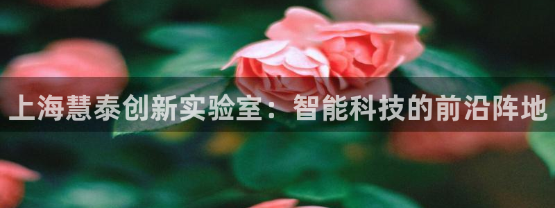 门徒娱乐彩票下载安装：上海慧泰创新实验室：智能科技的前沿阵地