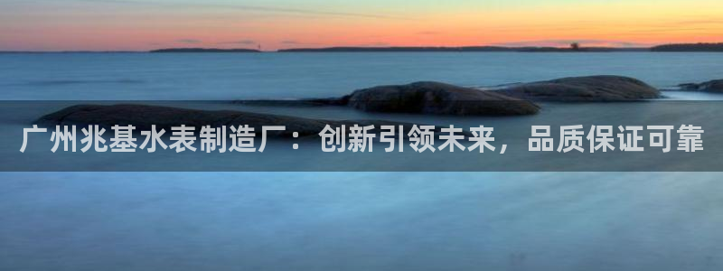 门徒娱乐安全吗：广州兆基水表制造厂：创新引领未来，品质保证可