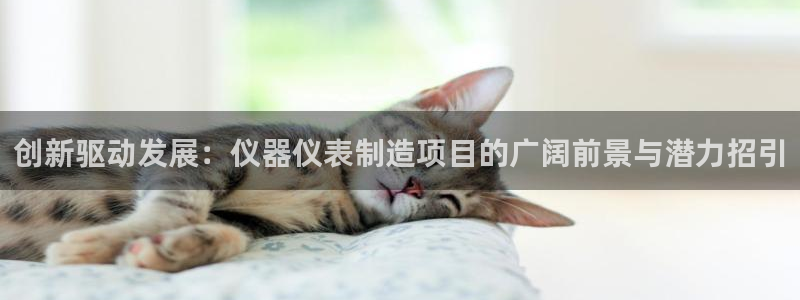 门徒娱乐官方地址下载：创新驱动发展：仪器仪表制造项目的广阔前