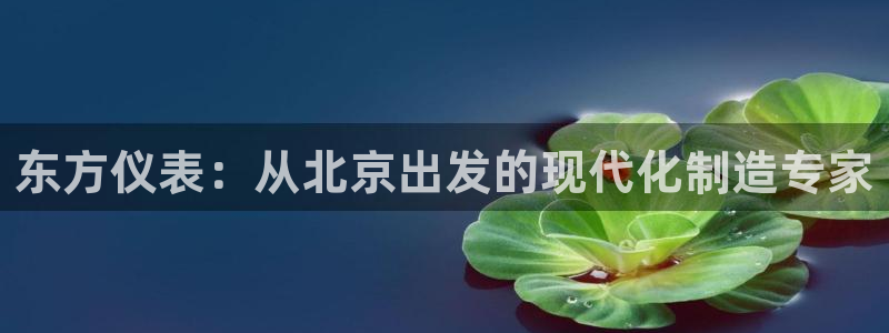 门徒彩票娱乐用户评价表：东方仪表：从北京出发的现代化制造专家