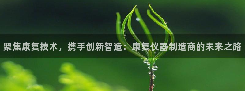 门徒六娱乐：聚焦康复技术，携手创新智造：康复仪器制造商的未来