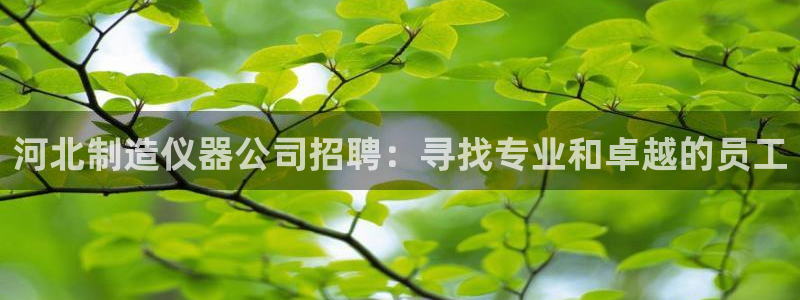 门徒娱乐足球：河北制造仪器公司招聘：寻找专业和卓越的员工
