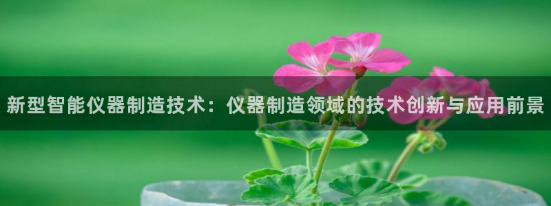 门徒娱乐登录网站官网：新型智能仪器制造技术：仪器制造领域的技