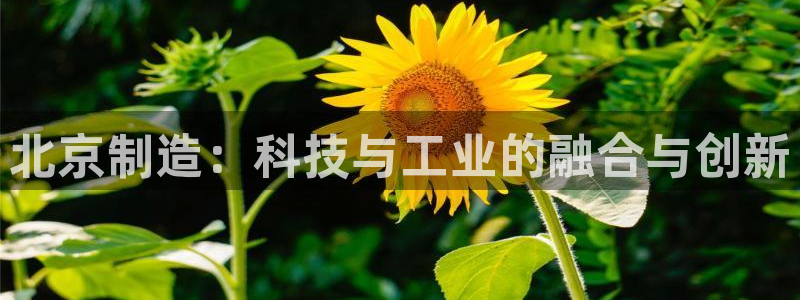 门徒娱乐平台安装教程：北京制造：科技与工业的融合与创新