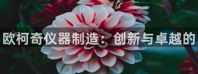 娱乐门徒 小说免费阅读：欧柯奇仪器制造：创新与卓越的