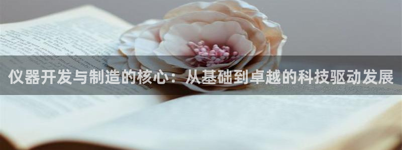 门徒娱乐场所叫什么名字：仪器开发与制造的核心：从基础到卓越的