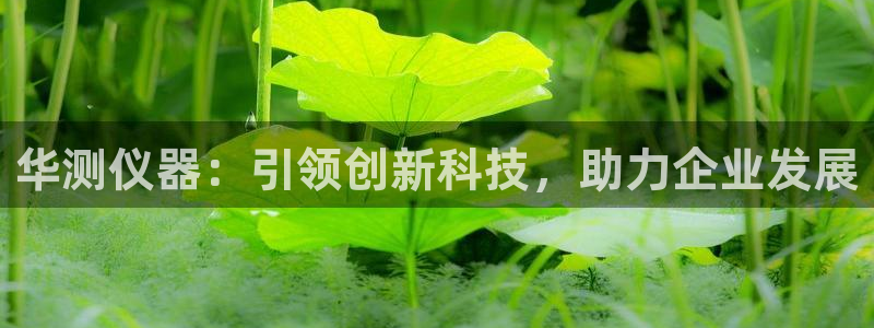 门徒娱乐下载手机版最新版苹果：华测仪器：引领创新科技，助力企