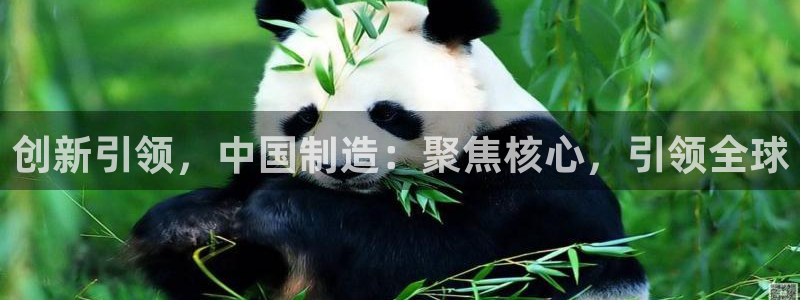 门徒娱乐线路怎么走：创新引领，中国制造：聚焦核心，引领全球