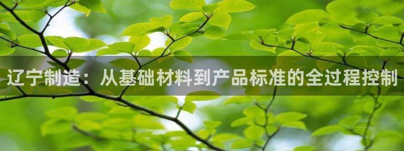 门徒娱乐的产品介绍：辽宁制造：从基础材料到产品标准的全过程控