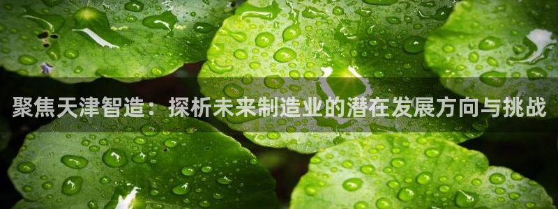门徒娱乐 - 门徒娱乐注册app平台：聚焦天津智造：探析未来