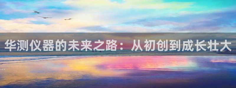 门徒娱乐能挣钱嘛知乎：华测仪器的未来之路：从初创到成长壮大