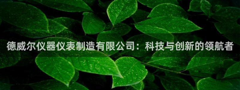 门徒娱乐什么平台可以看：德威尔仪器仪表制造有限公司：科技与创