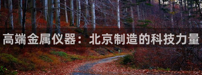 门徒娱乐登录平台是什么：高端金属仪器：北京制造的科技力量