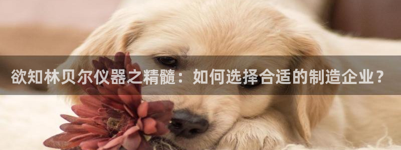 门徒娱乐怎么下载软件：欲知林贝尔仪器之精髓：如何选择合适的制