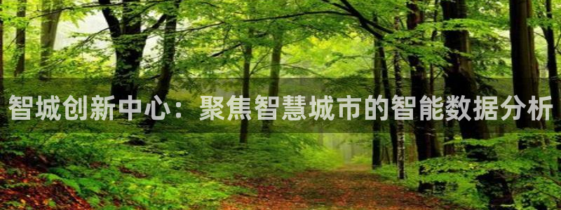 门徒娱乐平台下载：智城创新中心：聚焦智慧城市的智能数据分析