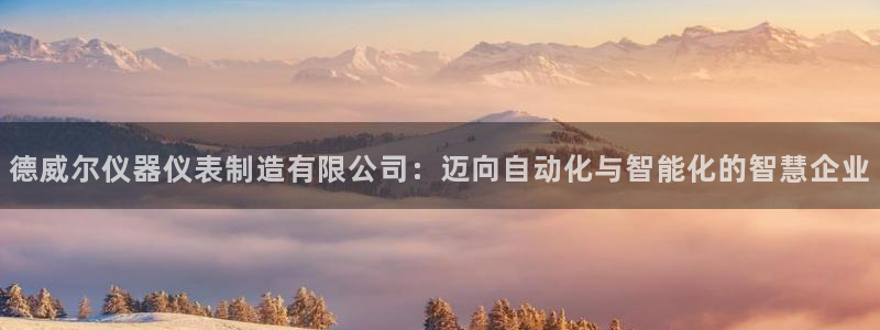 门徒娱乐-门徒平台：德威尔仪器仪表制造有限公司：迈向自动化与