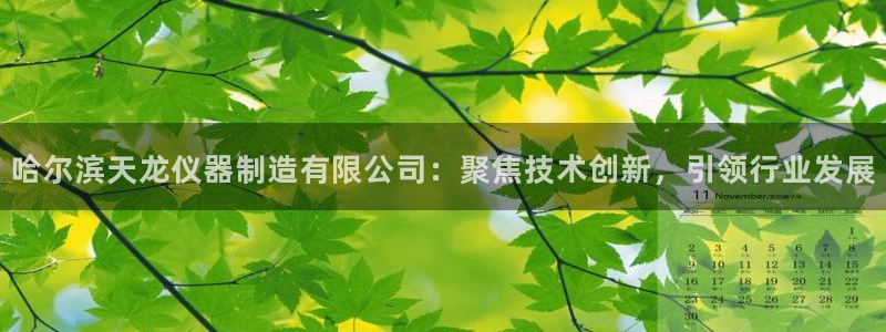 门徒娱乐官网首页：哈尔滨天龙仪器制造有限公司：聚焦技术创新，