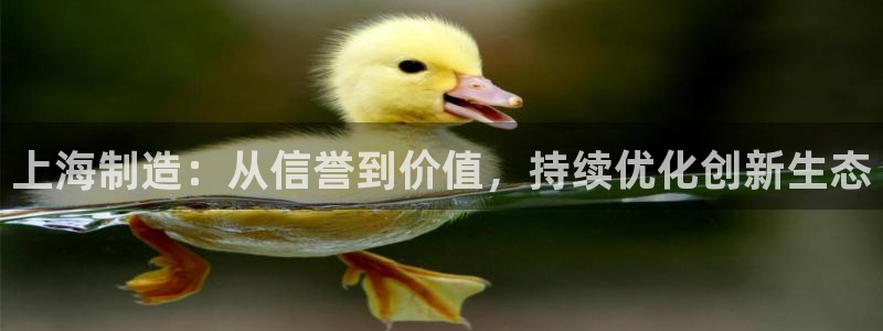 门徒娱乐怎么挂机赚钱的：上海制造：从信誉到价值，持续优化创新