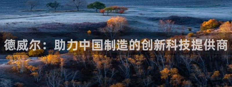 门徒娱乐是个什么软件：德威尔：助力中国制造的创新科技提供商