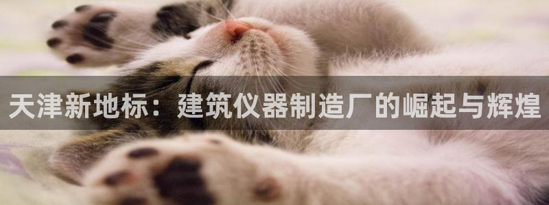 门徒娱乐是玩什么游戏的：天津新地标：建筑仪器制造厂的崛起与辉