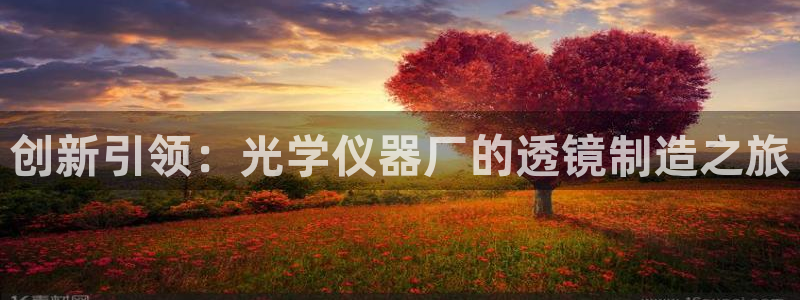 门徒娱乐服务器在哪里：创新引领：光学仪器厂的透镜制造之旅