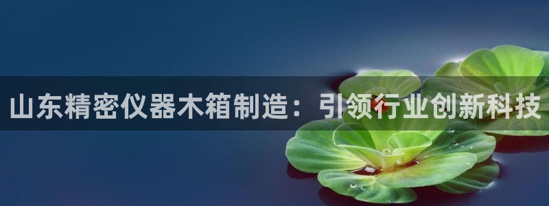 焦点娱乐门徒平台怎么样：山东精密仪器木箱制造：引领行业创新科