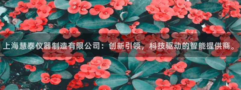 门徒娱乐-门徒娱乐注册：上海慧泰仪器制造有限公司：创新引领，