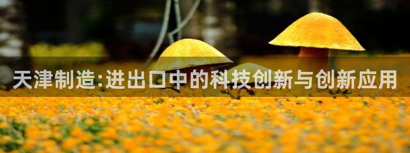 门徒娱乐联37997：天津制造:进出口中的科技创新与创新应用