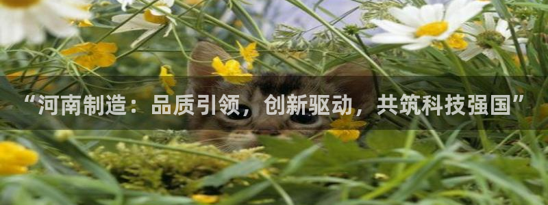 娱乐门徒百度云：“河南制造：品质引领，创新驱动，共筑科技强国