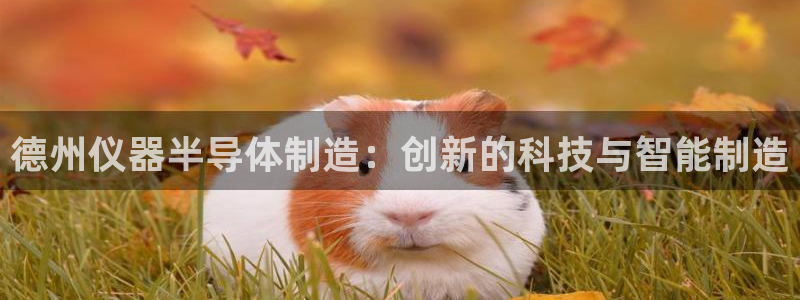 门徒娱乐网站在线观看：德州仪器半导体制造：创新的科技与智能制